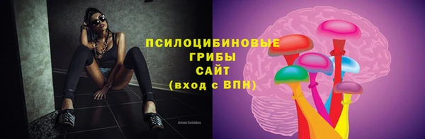индика Лихославль