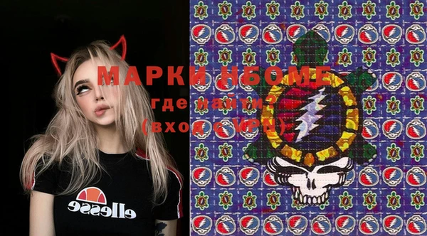 индика Лихославль
