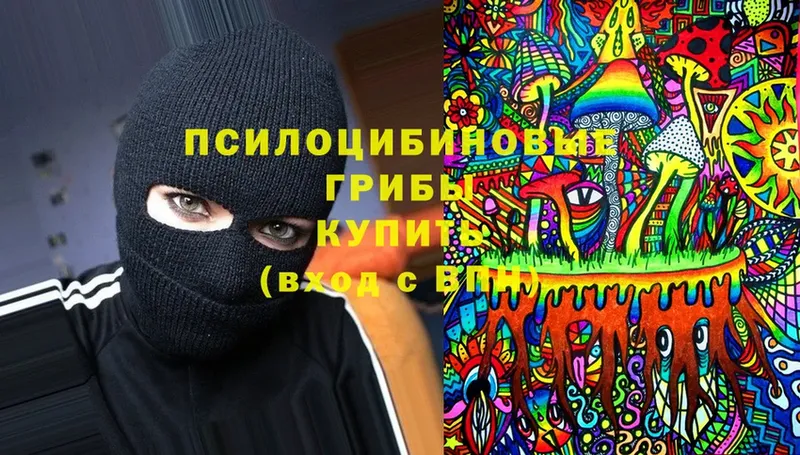 Псилоцибиновые грибы прущие грибы  Динская 