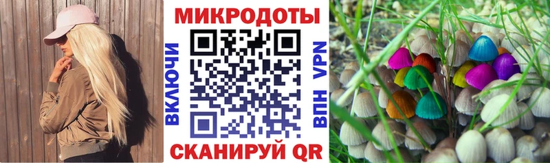 darknet телеграм  Динская  Галлюциногенные грибы Psilocybe  блэк спрут как войти 